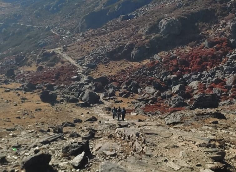 Nepal welcomes 116,553 tourists in November; Arrivals cross 1.06mln in first 11 months of 2025